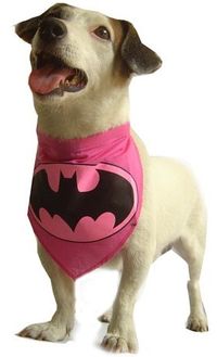 SALE – DC Comic Superpet range is reduced to clear