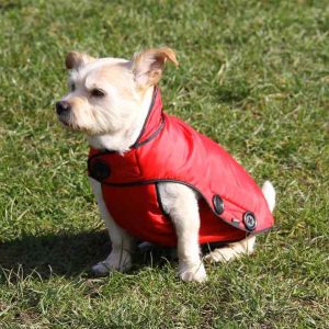 More Than Paws Australian Pet Supplies Dog Clothing and Accessories Clothes