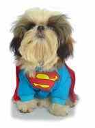 More Than Paws Australian Pet Supplies Dog Clothing and Accessories Clothes