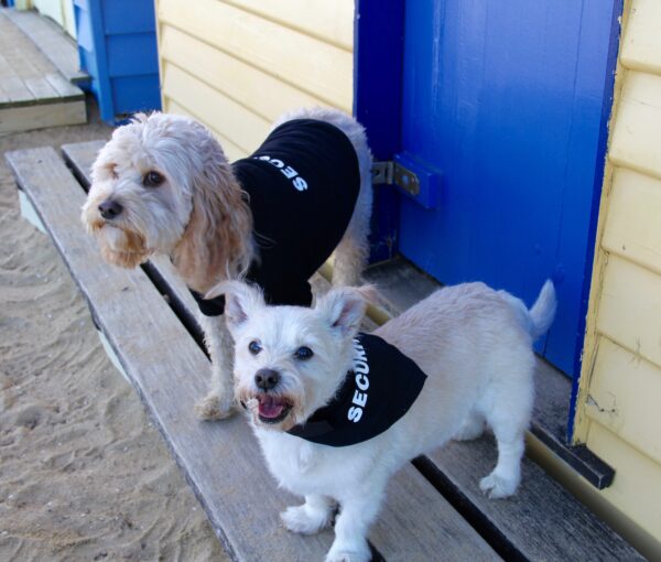 Security dog bandana and Security dog shirt