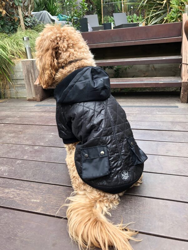 dog coat diamond quilted